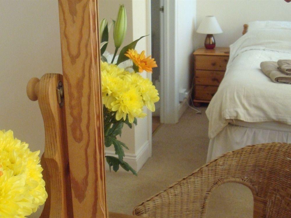 Harlequin Guest House With Parking Weymouth Exteriér fotografie